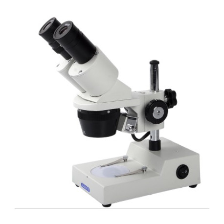 Sztereomikroszkóp - binokuláris, felső megvilágítással
